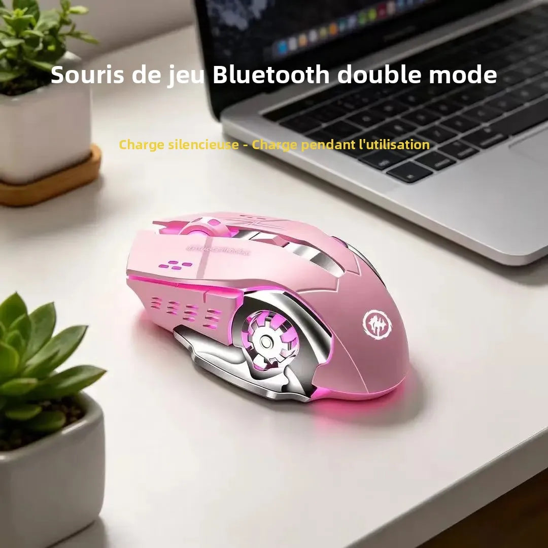Souris Gaming RGB Bluetooth Double Mode – Sans Fil Rechargeable